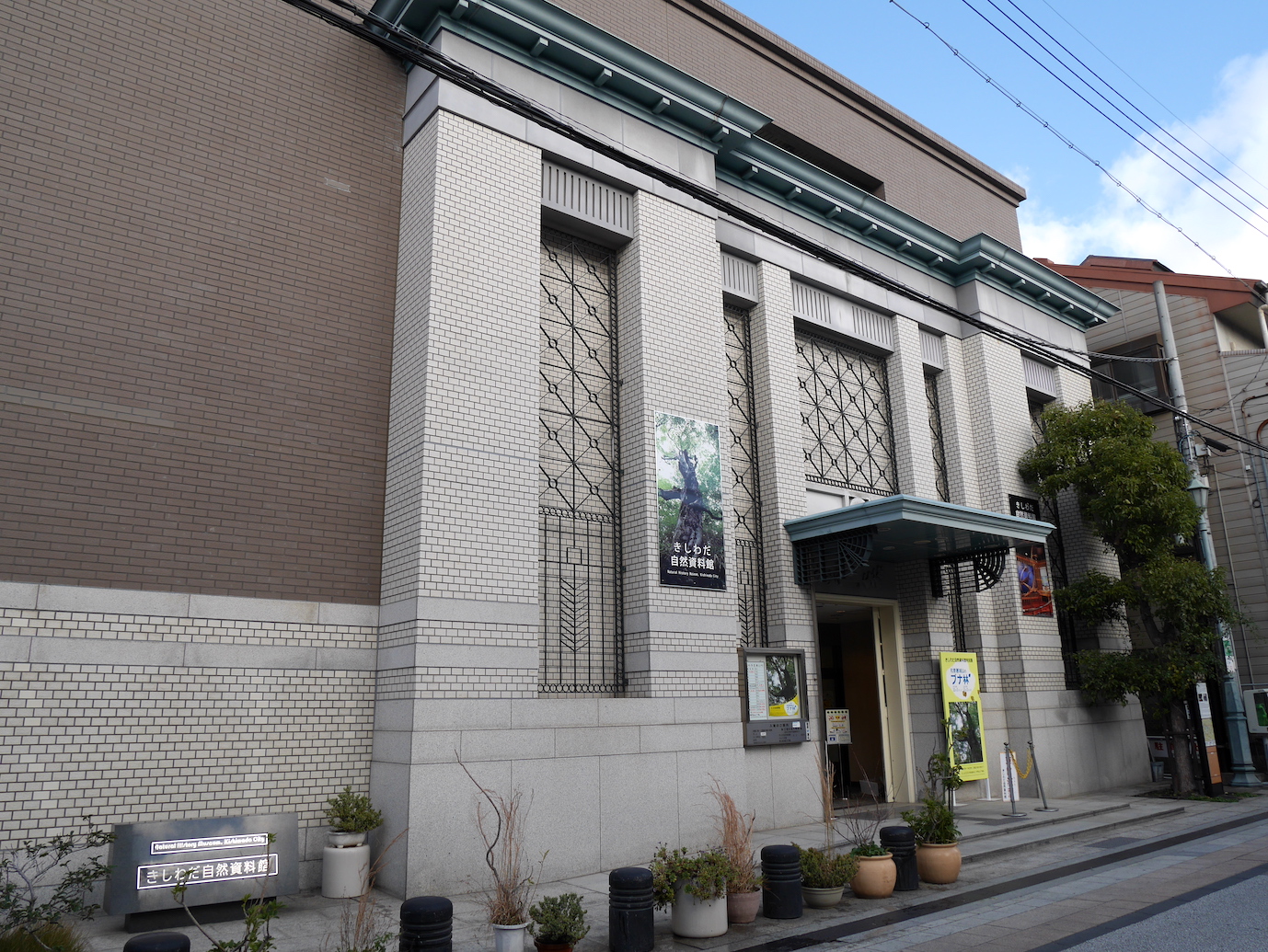 きしわだ自然資料館